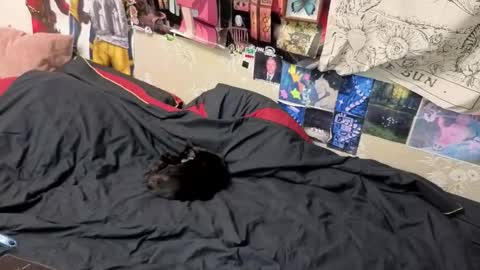 Snapshot of goth_pumpkin chatting on 11.07.25 Amy online show from 11.07.25