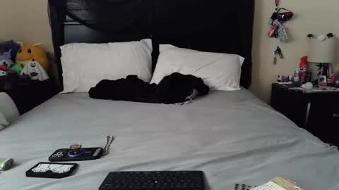 gothbaby305 online show from 10.29.25