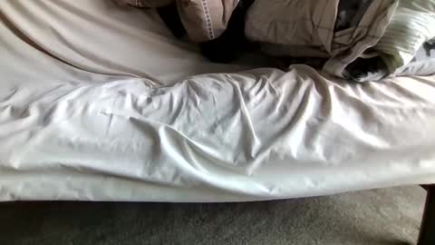 watch me stroke online show from 04.12.26