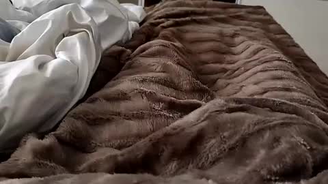 Snapshot of gozaderaxxx chatting on 02.14.25 Hazme gozar online show from 02.14.25