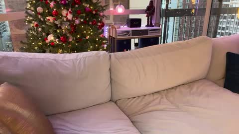 Gracie Mae online show from 01.17.25