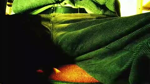 grapefruit online show from 11.12.25