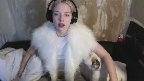 Snapshot of graylovescookies chatting on 12.19.24 graylovescookies online show from 12.19.24