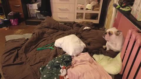 Snapshot of graylovescookies chatting on 12.29.24 graylovescookies online show from 12.29.24