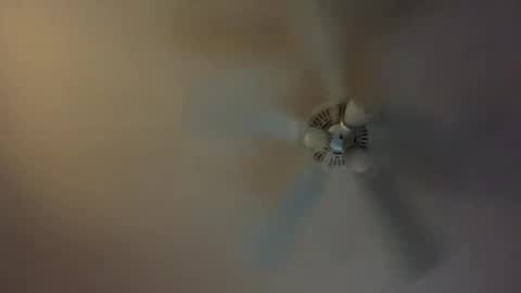 Snapshot of grd137 chatting on 03.08.25 grd137 online show from 03.08.25