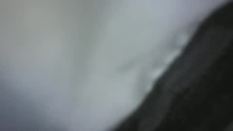 Snapshot of green_robin_hood chatting on 12.02.24 Green Robin Hood online show from 12.02.24