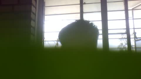 Snapshot of grey_stud chatting on 02.24.25 Grey Stud online show from 02.24.25