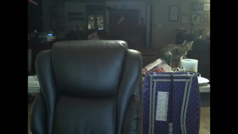 David online show from 12.20.24