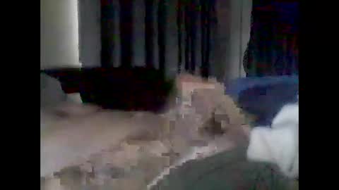 grittslappa online show from 02.17.26