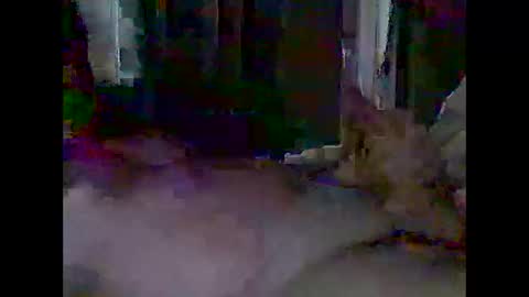 Snapshot of grittslappa chatting on 04.28.26 grittslappa online show from 04.28.26