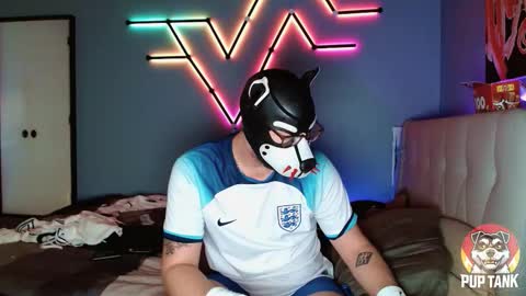 Snapshot of growingcub94 chatting on 11.01.25 Alpha pup online show from 11.01.25