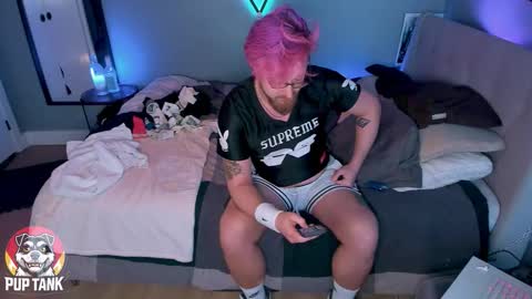 Snapshot of growingcub94 chatting on 11.11.25 Alpha pup online show from 11.11.25