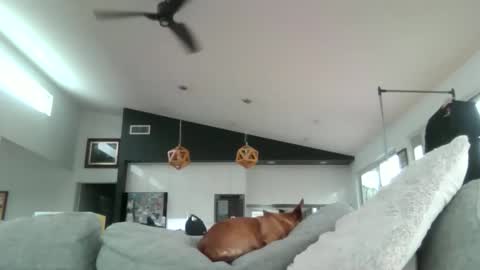 gumbyliscious online show from 01.18.26