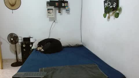 Snapshot of guts_x chatting on 12.06.24 Guts online show from 12.06.24