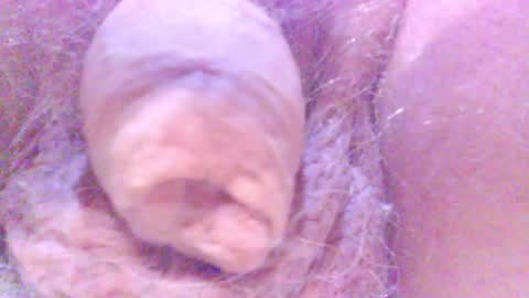 hagridthehorrible online show from 02.05.25