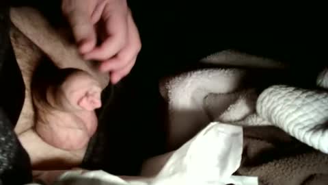 share9 online show from 02.02.26