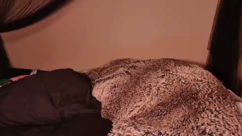 HailWilds online show from 03.01.25