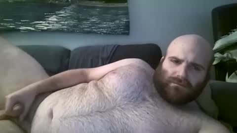 Hairiest Bear online show from 12.05.24