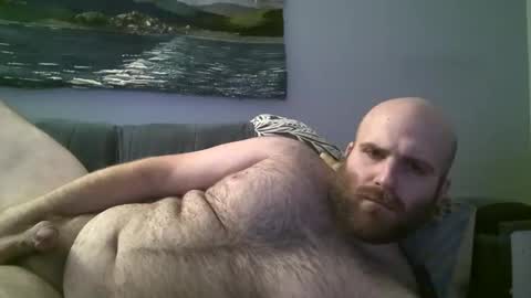 Hairiest Bear online show from 12.23.24