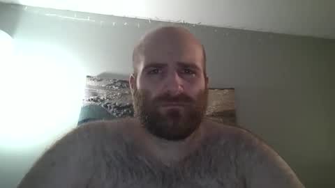 Hairiest Bear online show from 12.28.24