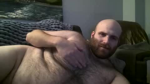 Hairiest Bear online show from 01.17.25