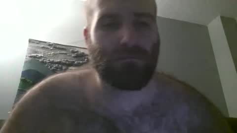 Hairiest Bear online show from 01.19.25