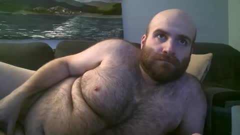 Hairiest Bear online show from 01.20.25