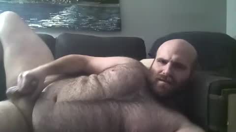 Hairiest Bear online show from 01.20.25