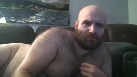 Hairiest Bear online show from 01.30.25