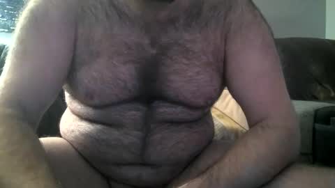 Hairiest Bear online show from 02.08.25