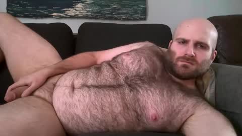 Hairiest Bear online show from 02.11.25