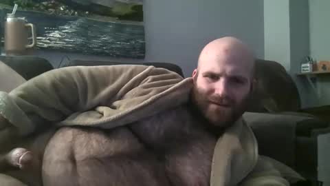 Hairiest Bear online show from 03.08.25