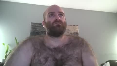 Hairiest Bear online show from 12.23.25