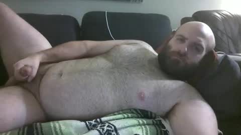 Hairiest Bear online show from 02.22.26