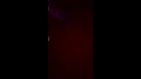 halfhorsefr online show from 06.10.26