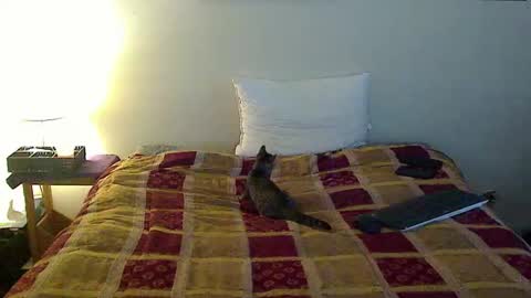 Snapshot of hammerthatthang73 chatting on 10.16.25 hammerthatthang73 online show from 10.16.25