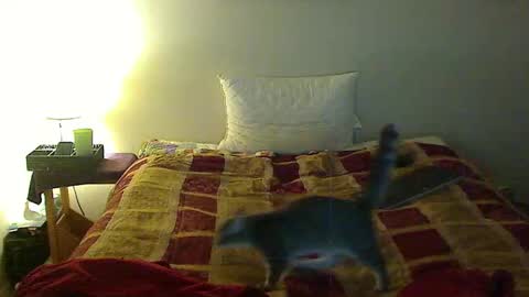 Snapshot of hammerthatthang73 chatting on 11.03.25 hammerthatthang73 online show from 11.03.25