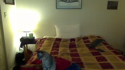 Snapshot of hammerthatthang73 chatting on 11.04.25 hammerthatthang73 online show from 11.04.25