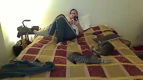 Snapshot of hammerthatthang73 chatting on 11.19.25 hammerthatthang73 online show from 11.19.25