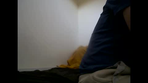handsomepenis20cm online show from 04.29.26