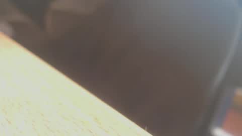Snapshot of hannes_k chatting on 06.14.26 hannes_k online show from 06.14.26