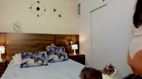 taylor live   online show from 03.03.26