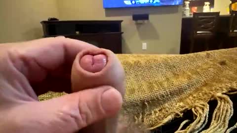 happygerman68 online show from 10.24.25