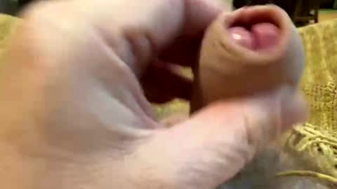 happygerman68 online show from 10.27.25