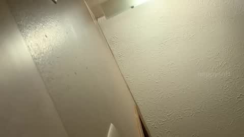 Snapshot of happysoft chatting on 12.09.24 meatwad online show from 12.09.24