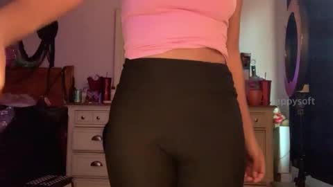 Snapshot of happysoft chatting on 12.29.24 meatwad online show from 12.29.24