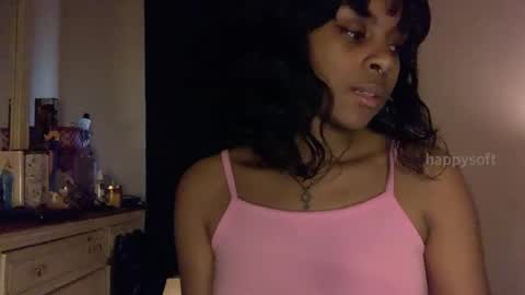 Snapshot of happysoft chatting on 01.04.25 meatwad online show from 01.04.25