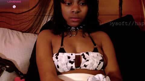 Snapshot of happysoft chatting on 03.03.25 meatwad online show from 03.03.25