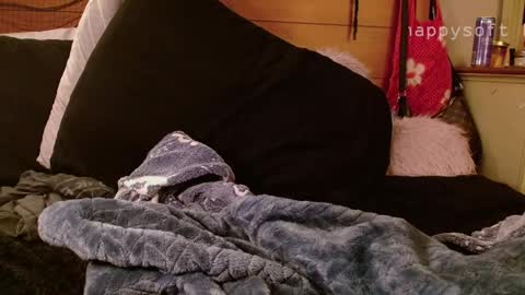 Snapshot of happysoft chatting on 03.11.25 meatwad online show from 03.11.25