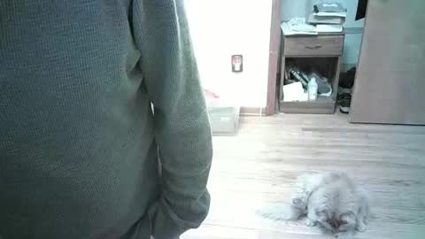 Snapshot of har5 chatting on 01.03.25 Hardy-Har online show from 01.03.25